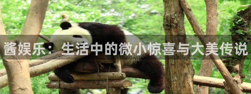 超凡国际下载app